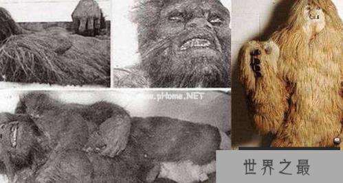 1582777793367756.png 2.16.PNG