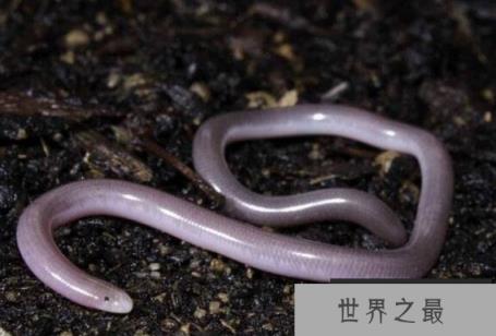 1585112926113522.png 1.png