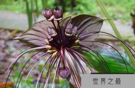 1581908390145347.png 2.16.PNG