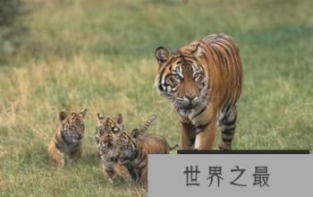 1581908667739351.png 2.16.PNG