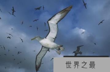 1581908987607864.png 2.16.PNG