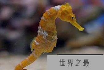 1581990434289888.png 2.16.PNG