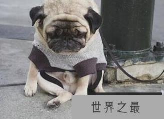 1581991277881821.png 2.16.PNG