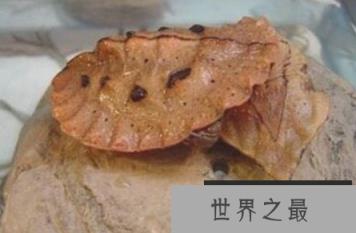 1582076375278004.png 2.16.PNG