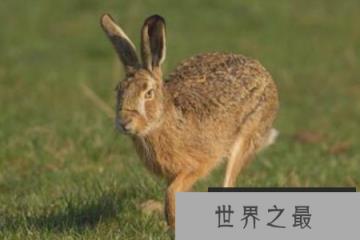 1582076642952122.png 2.16.PNG