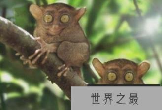 1582076836802227.png 2.16.PNG