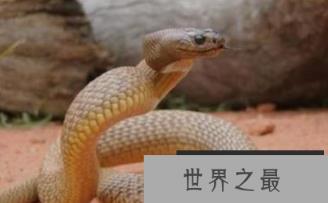 1582077146102296.png 2.16.PNG