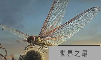 1582077212934881.png 2.16.PNG