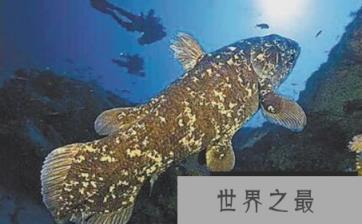 1582160305858947.png 2.16.PNG