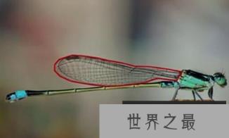 1582160984449866.png 2.16.PNG