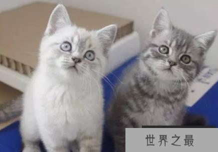 1582161319249605.png 2.16.PNG