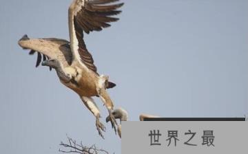 1582247615892336.png 2.16.PNG