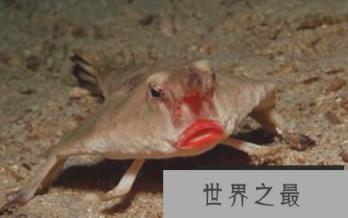 1581385129336774.png 微信截图_20200205094912.png