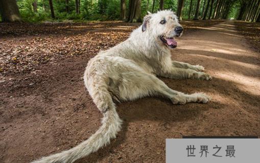 1581466973793658.png 微信截图_20200205094912.png