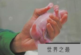 1581467061512502.png 微信截图_20200205094912.png