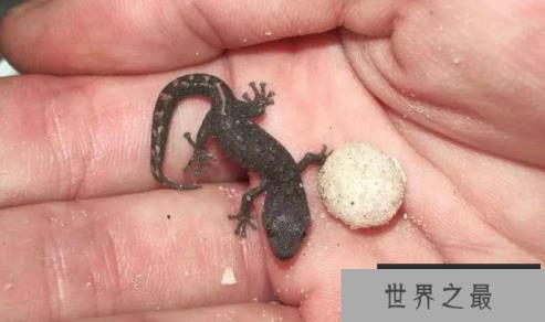 1581467154588457.png 微信截图_20200205094912.png