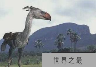 1581555958198366.png 微信截图_20200205094912.png