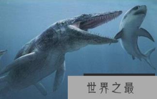 1581557097376107.png 微信截图_20200205094912.png