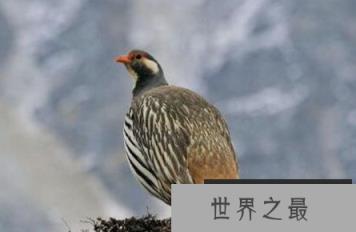 1581557858516900.png 微信截图_20200205094912.png