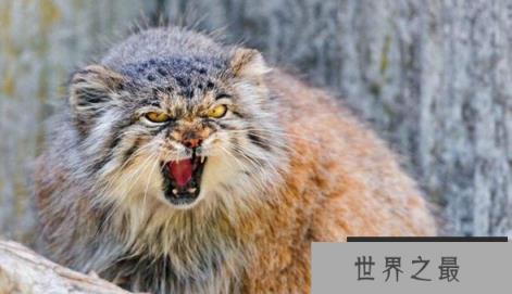 1581642269472984.png 微信截图_20200205094912.png