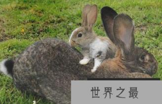 1581642361543914.png 微信截图_20200205094912.png