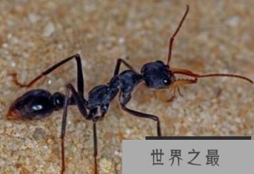 1581642574644717.png 微信截图_20200205094912.png