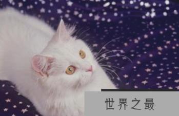 1581643022944924.png 微信截图_20200205094912.png