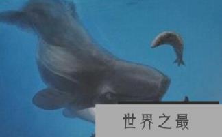 1581643219349315.png 微信截图_20200205094912.png