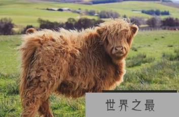 1581643477488572.png 微信截图_20200205094912.png