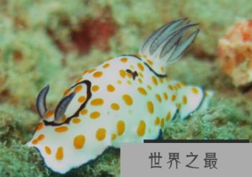 1581643671613947.png 微信截图_20200205094912.png