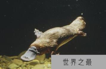 1581644561574161.png 微信截图_20200205094912.png