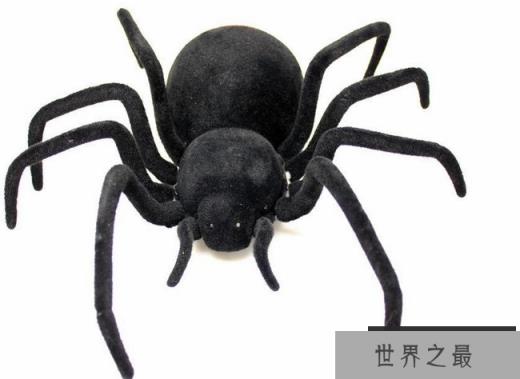 黑寡妇蜘蛛