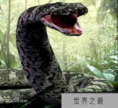 1566386557202911.png wpsD879_tmp.png