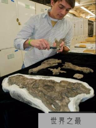 1566386572287811.png wpsD87A_tmp.png