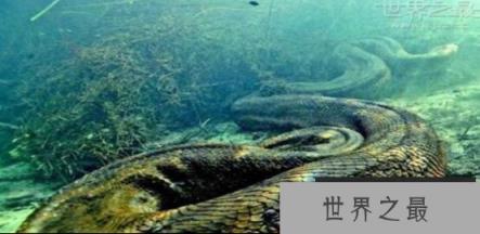 1566386580285736.png wpsD87B_tmp.png