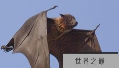 1576661268434757.png 1.png