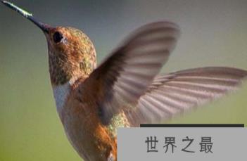 1576661284862683.png 3.png