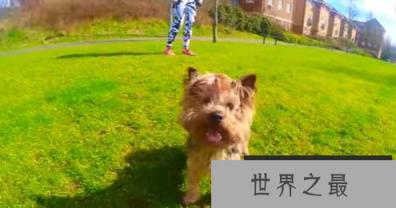 1580876565712407.png 微信截图_20200205094912.png