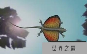 1580876630610022.png 微信截图_20200205094912.png