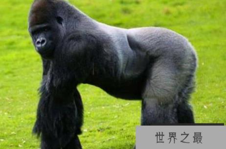 1581040880216242.png 微信截图_20200205094912.png