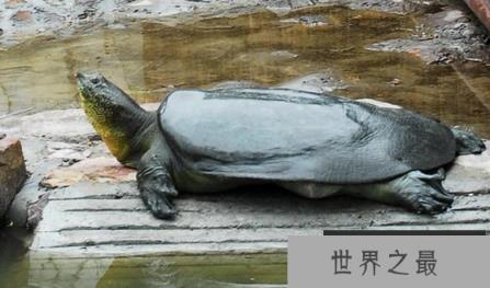 1581041138398030.png 微信截图_20200205094912.png