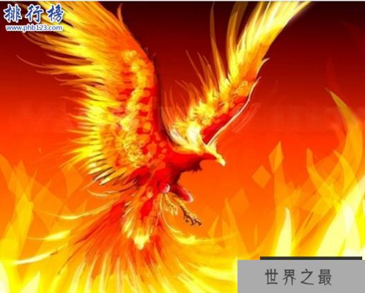 世界上最后一只凤凰