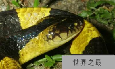 1587616794724931.png 微信截图_20200106102307.png