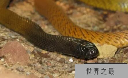 1587616800167656.png 1.png