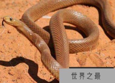 1587617326652647.png 微信截图_20200106102307.png