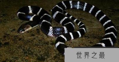 1587617799600464.png 1.png