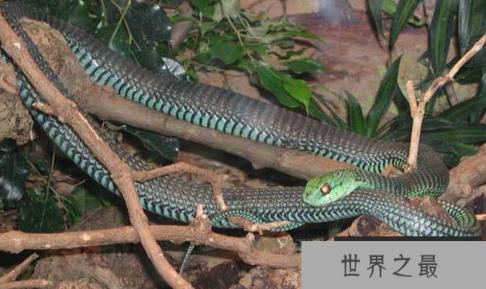 1587618077341980.png 微信截图_20200401111937.png