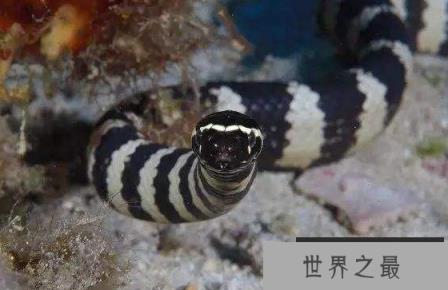 1587618065867356.png 1.png