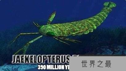 奥陶纪十大恐怖生物 揭秘奥陶纪生物大灭绝原因