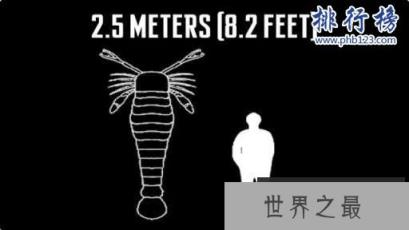 奥陶纪十大恐怖生物 揭秘奥陶纪生物大灭绝原因